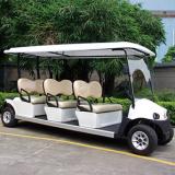 RD﹣6AC·G+D electric golf cart with AC system standard configuration